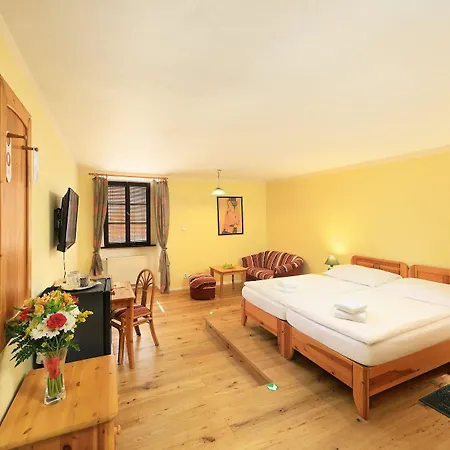 Hotell Zlaty Andel