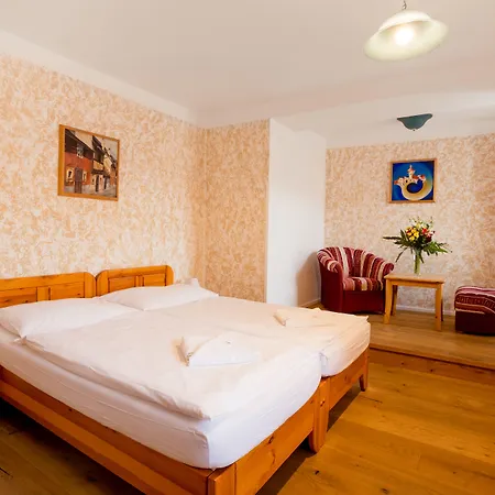 فندق Zlaty Andel 4*